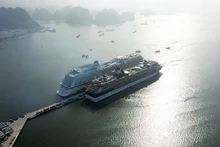 越南力争到2030年成立七个海洋经济跨产业集群【图表新闻】