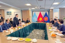 工作座谈场景。（图片来源：越通社）
