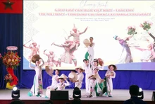 越南艺术家在交流会上演出的文艺节目。（图片来源：越通社）