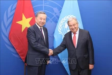 苏林总书记、国家主席会见联合国秘书长安东尼奥·古特雷斯。