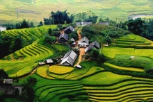 附图。