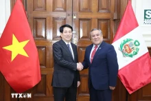 越南国家主席梁强会见秘鲁部长会议主席古斯塔沃·阿德里安森。（图片来源：越通社）