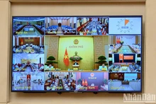 政府与地方视频会议。