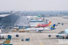各家航空公司为国内外游客在2023癸卯年春节的出行需求提供服务。