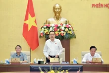国会主席陈青敏主持会议。（图片来源：dangcongsan.vn）