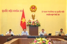各位国会副主席主持会议。