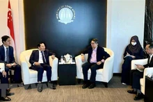 越南公安部副部长黎文线礼节性拜会新加坡内政部国务秘书费萨尔·易卜拉欣（图片来源：越通社）