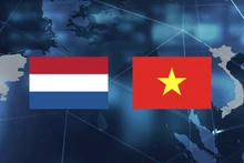 越南与荷兰全面伙伴关系【图表新闻】