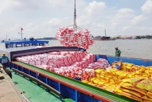 2024年前5个月，越南货物进出口总额同比增长16.6%【图表新闻】
