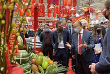 越南驻法国大使丁全胜在法国介绍越南传统春节。（图片来源：越通社）