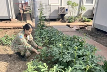 范氏梅堓大尉。（图片来源：qdnd.vn）