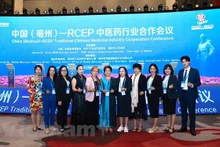 与会代表。（图片来源：越通社）