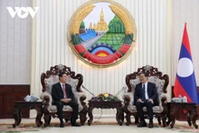 义安省委书记、人民议会主席蔡青贵会见老挝政府总理宋赛·西潘敦。（图片来源：VOV）