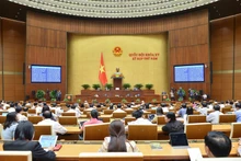 质询和回答质询活动。（图片来源：baodauthau.vn）
