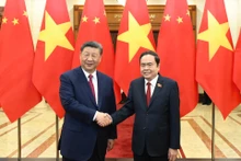 越南国会主席陈青敏和中共中央总书记、中国国家主席习近平。