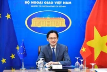 越南外交部副部长杜雄越。