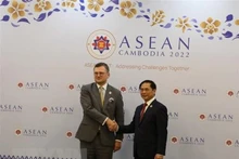 裴青山部长和乌克兰外交部长德米特罗·库莱巴。（图片来源：越通社）