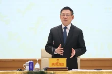 越南政府副总理胡德福在会议上发表讲话。