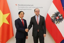 越南外交部长裴青山和奥地利外交部长亚历山大·沙伦贝格。（图片来源：越通社）