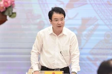 越南计划与投资部副部长陈国芳。