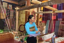 清化省傣族妇女编织土棉布。（图片来源：congthuong.vn）