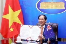 越南外交部长裴青山。