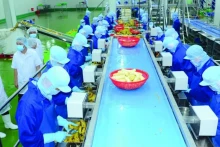 附图：Thabico食品工业股份公司的农产品加工厂。