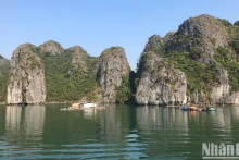下龙湾景观。