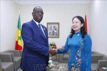 越南国家副主席武氏映春会见塞内加尔总统麦基·萨勒。（图片来源：越通社）