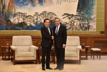 越南政府副总理陈流光会见中国外交部长王。（图片来源：baochinhphu.vn）