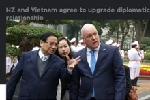 1news.co.nz网站上发表有关越新两国关系提升为全面战略伙伴关系的文章。（屏幕截图）