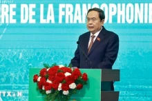 国会主席陈青敏在法语国家议会大会执行委员会会议开幕式上发表讲话。