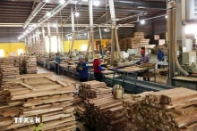 平定省德全责任有限公司向欧洲市场出口户外木质家具产品。（图片来源：越通社）