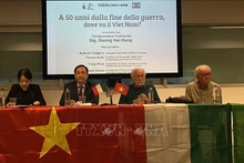 越南驻意大利大使杨海兴出席在梅斯特雷市举行的一场研讨会。（图片来源：越通社）