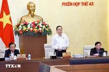 越南国会主席陈青敏在会上发表讲话。（图源：越通社）