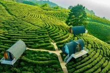 位于高平省原平县成功乡的Kolia生态旅游区是一个绿色环保的旅游目的地。（黄玉 摄）