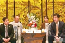 越南隆安省领导与中国辽宁省领导举行工作会谈。