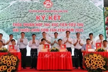 关于推进2025年新安县早熟荔枝销售的合作谅解备忘录。（图片来源：越通社）