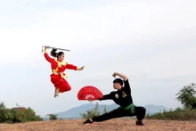 越南平定传统武术表演 。（图片来源：越通社）