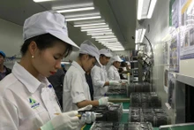 附图。（图片来源：越通社）