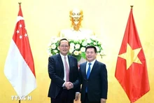 2024年3月份，越南工贸部部长阮鸿延与新加坡贸工部部长陈诗龙就扩大经贸和能源合作举行会谈。（图片来源：越通社）