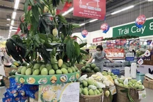 附图。