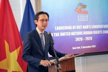 越南外交部副部长杜雄越出席仪式并发表讲话。