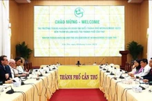 绿色旅游——越南芹苴市与德国韦尼格罗德市合作关系中的亮点
