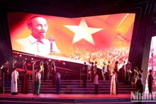胡志明市市民欣赏庆祝9·2国庆节烟花秀