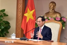 越南政府副总理兼外交部长裴青山。