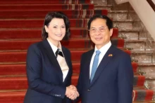 越南外交部长裴青山会见比利时参议院议长斯蒂芬妮·德霍斯。