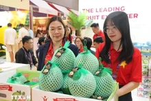 越南绿皮柚子亮相中国香港亚洲国际果蔬展。