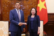 越南国家副主席武氏映春在河内会见了瑞典驻越南大使约翰·恩迪西。（图片来源：越通社）