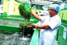 越南海洋药物发展潜力巨大